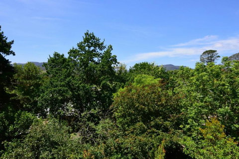 Cloudsong Chalet 3 Close To The Village Centre! - Accommodation Brisbane 6