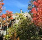 Cloudsong Chalet 4 Close to the village centre - Accommodation Brisbane