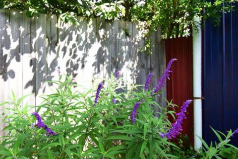 Lulu Hill Cottage Kangaroo Valley - Accommodation Brisbane 7