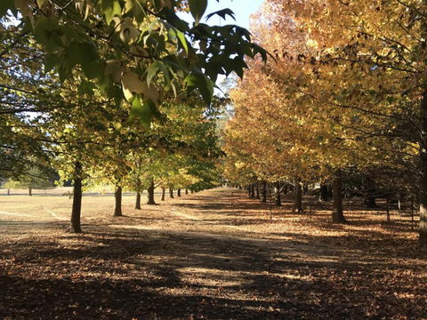 The Ambers Comfortable Family Getaway! - Accommodation Brisbane 3