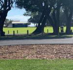 Yaringa cottage...by the sea - Accommodation Brisbane