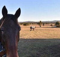 Clydesdale Cottage on Talga with real Clydesdale Horses