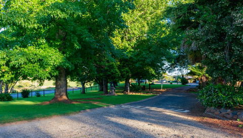 Dorrigo Mountain Holiday Park - Accommodation Brisbane 1