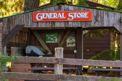 Dorrigo Mountain Holiday Park - Accommodation Brisbane 2