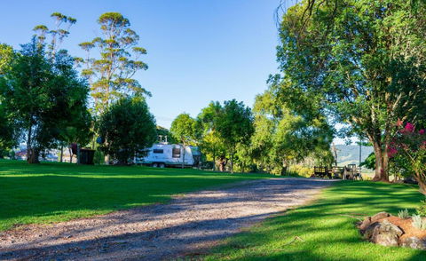 Dorrigo Mountain Holiday Park - Accommodation Brisbane 3