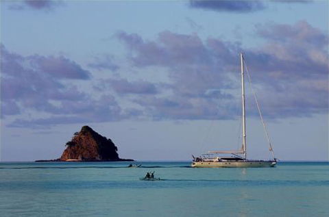 LANDSCAPE At PALM COVE - Accommodation Brisbane 5