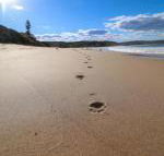 Surfers Paradise at Catherine Hill Bay - Accommodation Brisbane