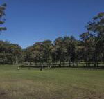 Championship Golf Course on your Back Door - Accommodation Brisbane