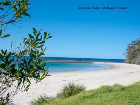 Tallwood Ave 77 Mollymook - Accommodation Brisbane 3