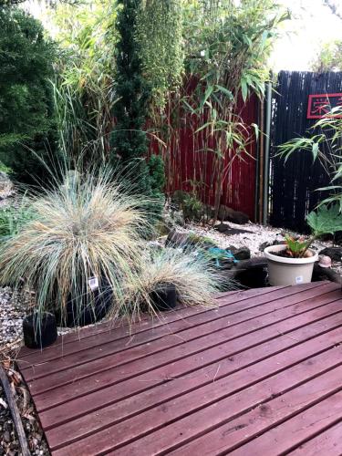 Coastal Garden Shack - Accommodation Brisbane 3