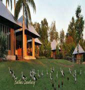 Feathers Sanctuary - Accommodation Brisbane 6