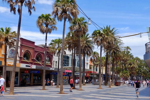 Manly Studio 2 Minutes From The Beach - Accommodation Brisbane 1