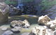 Nature Domes - thumb 3
