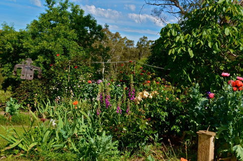 Clyde Cottage - Accommodation Brisbane 3