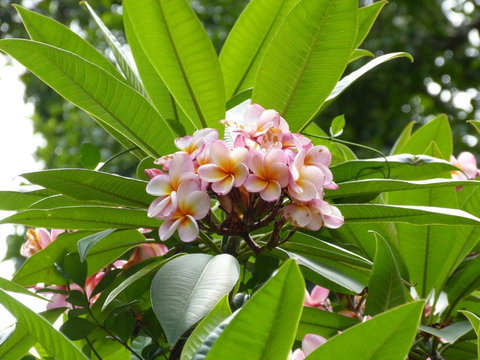 The Stables - Accommodation Brisbane 6