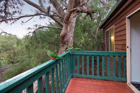 Hidden Valley Cabins - Accommodation Brisbane 6