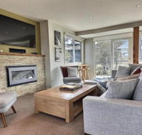 Ski Bird - Accommodation Brisbane