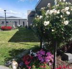 Velika - Accommodation Brisbane