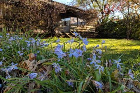 Alexander Cottage - Accommodation Brisbane 3