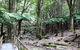 Wallace Lodge - thumb 7