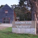 Herons Rise Vineyard Accommodation - Accommodation Brisbane 0