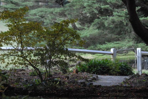 Toolebewang Farm Cottage - Accommodation Brisbane 4