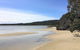 Oystercatcher - thumb 6