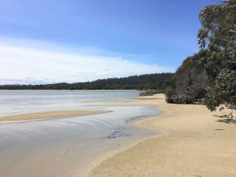 Oystercatcher - Accommodation Brisbane 6