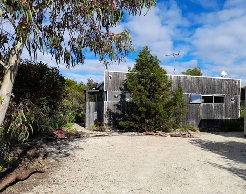Oystercatcher - Accommodation Brisbane 0