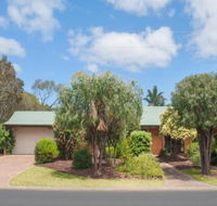 Bottlebrush - Accommodation Brisbane