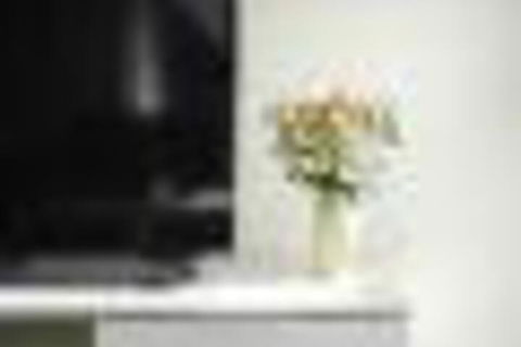 TWIG CBD Water Views - Accommodation Brisbane 6