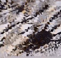 Discover Classic Rocks - Accommodation Brisbane