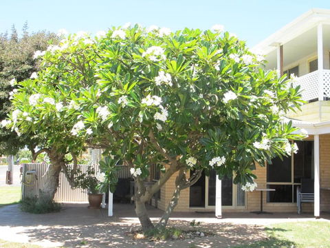 Kalbarri Riverfront Unit - Accommodation Brisbane 3