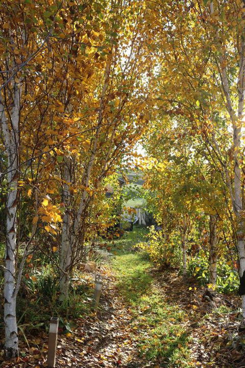 Magenta Cottage - Accommodation Brisbane 1