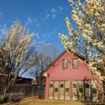 Magenta Cottage - Accommodation Brisbane 0