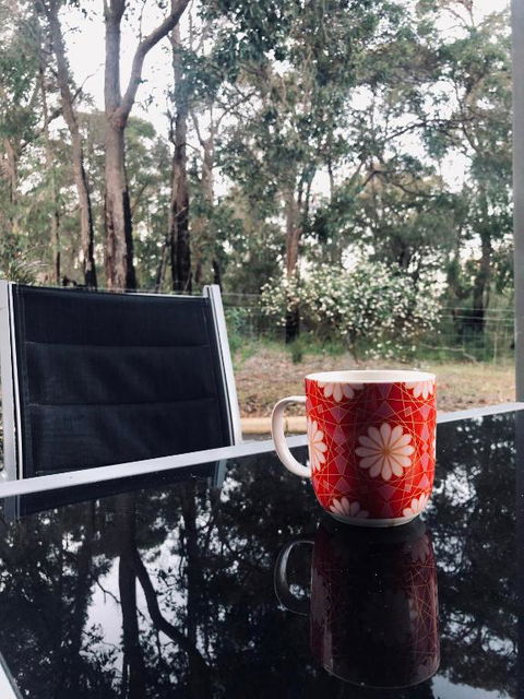On The Edge Of The Forest - Accommodation Brisbane 6