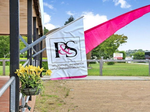 Misty Creek Of Robertson Proximity & Privacy - Accommodation Brisbane 3