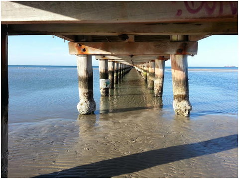 Iona B & B - Accommodation Brisbane 1