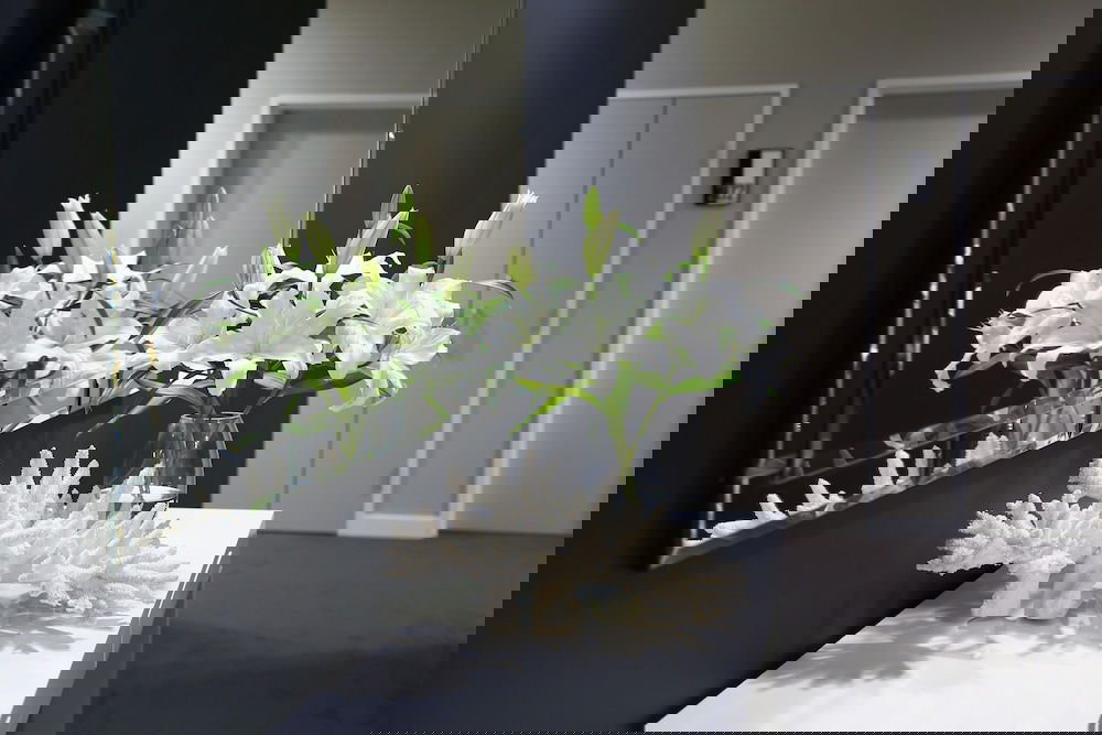  Accommodation Brisbane