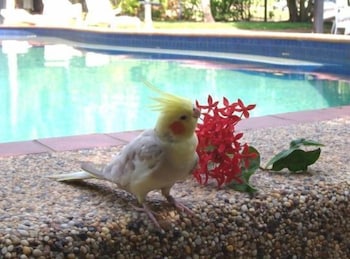 Hidden Valley Holiday Park - Accommodation Brisbane 3