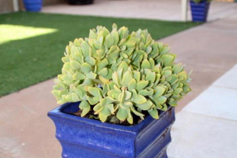 Sunset Retreat - Accommodation Brisbane 3