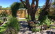 Aggies Bed & Breakfast - thumb 5