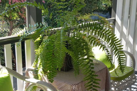Elindale House Bed & Breakfast - Accommodation Brisbane 4