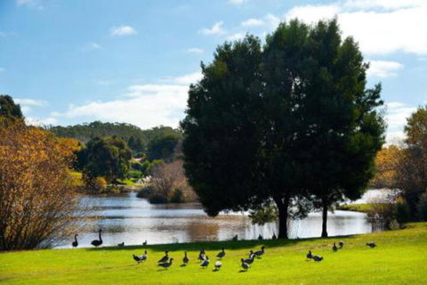 Ducks Bay - Accommodation Brisbane 3