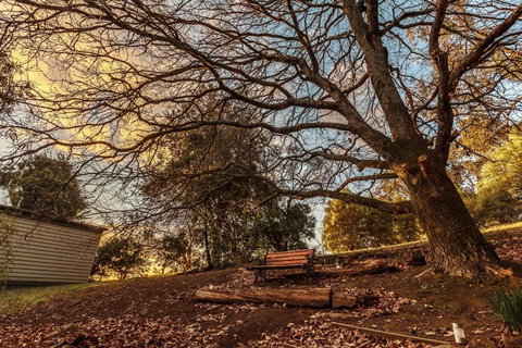 Forest Ave Cottages - Accommodation Brisbane 1