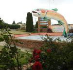 Big Trout Motel - Accommodation Brisbane