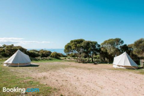 Glamping At September Beach Lincoln National Park - Accommodation Brisbane 3