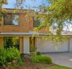 Wild Waves - Accommodation Brisbane