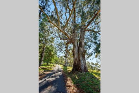 WOOLWAY - Accommodation Brisbane 2