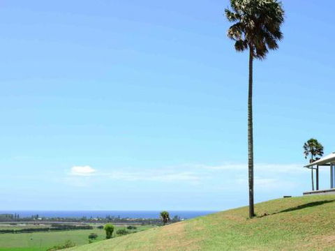 ROSE VALLEY Gerringong 4pm Check Out Sundays - Accommodation Brisbane 0